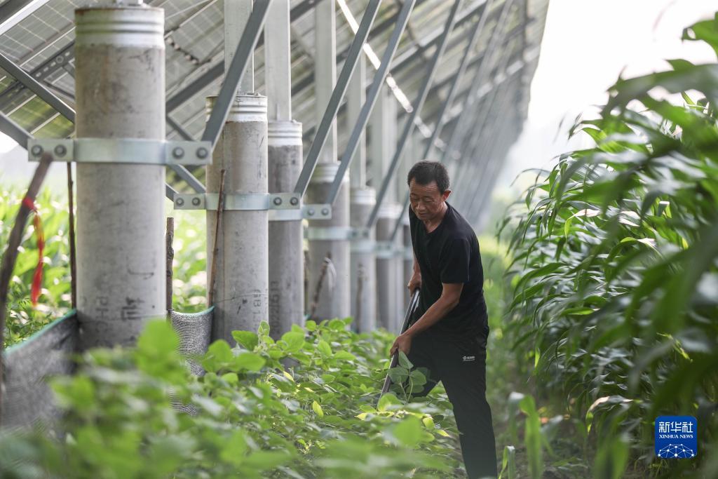 太阳所有城娱乐网站